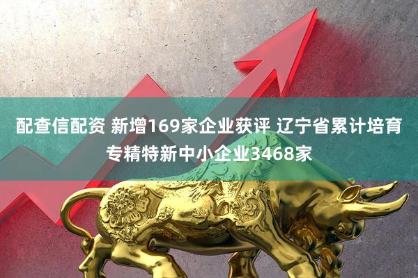 配查信配资 新增169家企业获评 辽宁省累计培育专精特新中小企业3468家