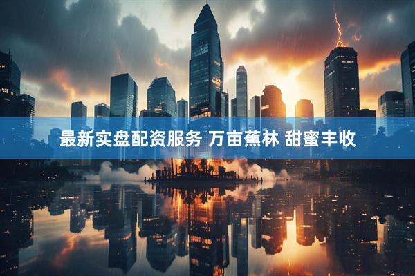 最新实盘配资服务 万亩蕉林 甜蜜丰收