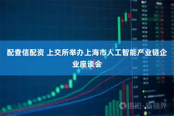 配查信配资 上交所举办上海市人工智能产业链企业座谈会